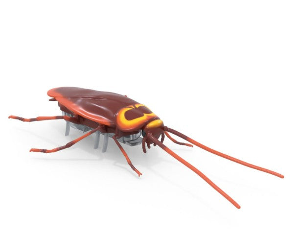 Hex Bots Nano Real Bugs 5-Pack |  | Safari Ltd®