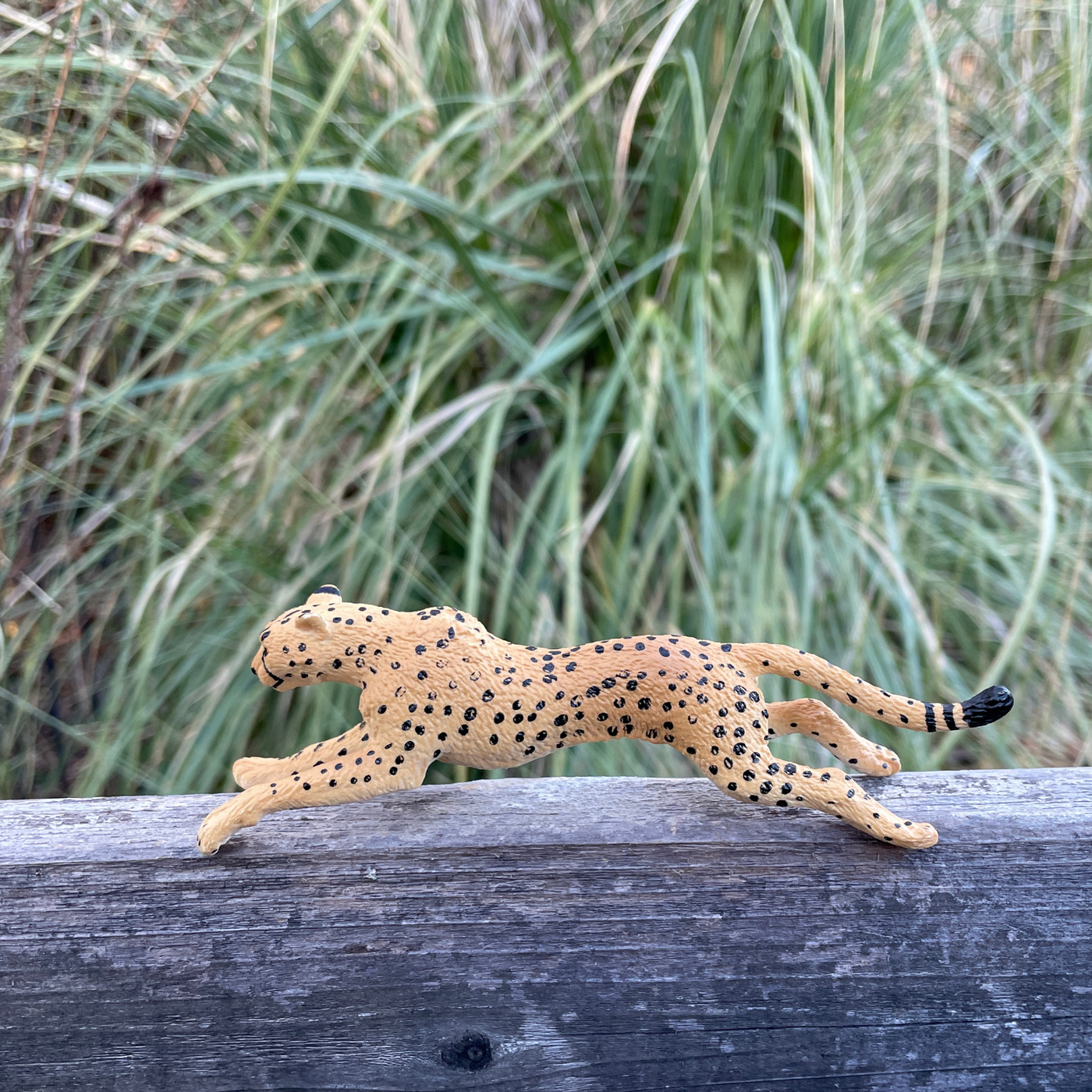 Cheetah Toy | Wildlife Animal Toys | Safari Ltd®
