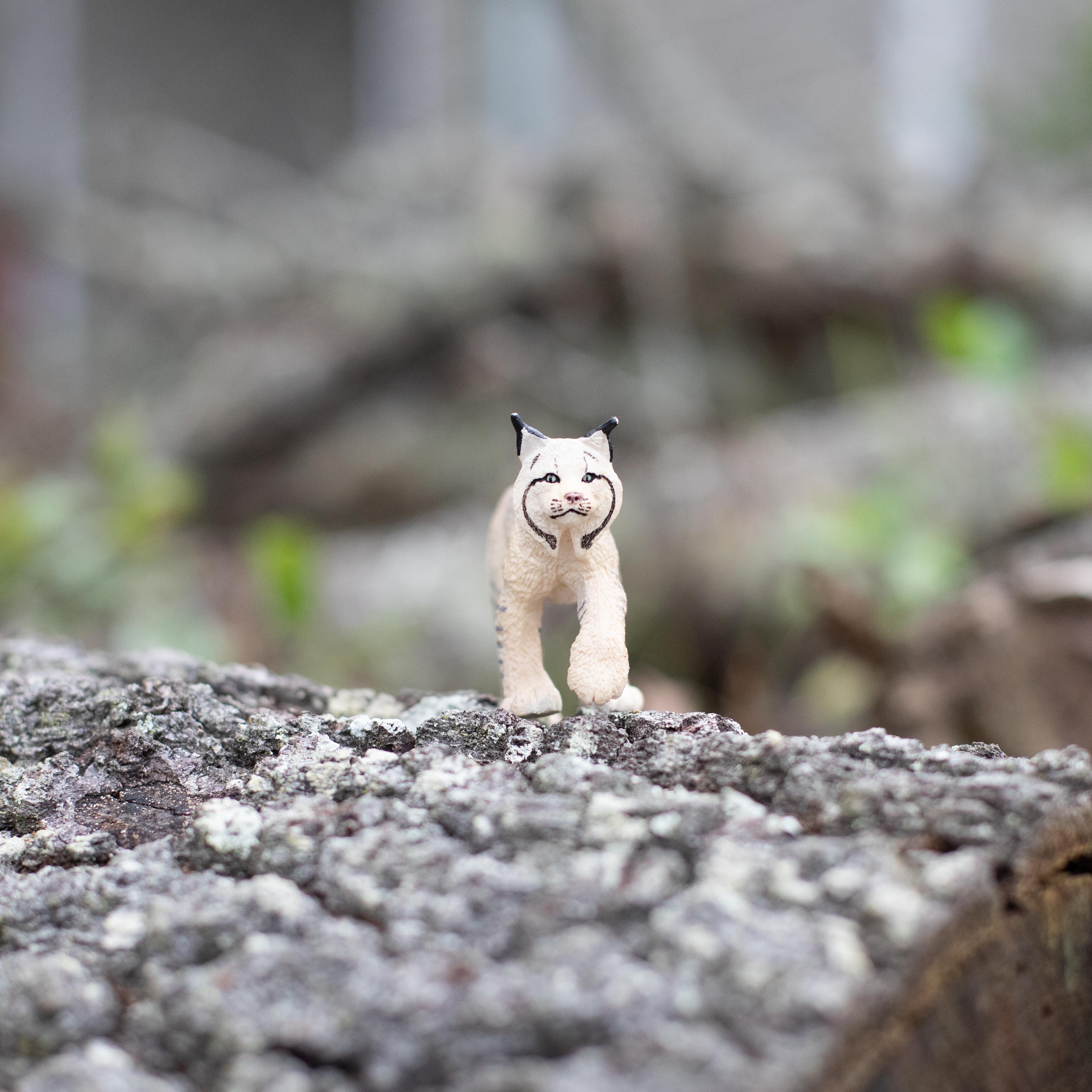 Lynx Toy | Safari Ltd®
