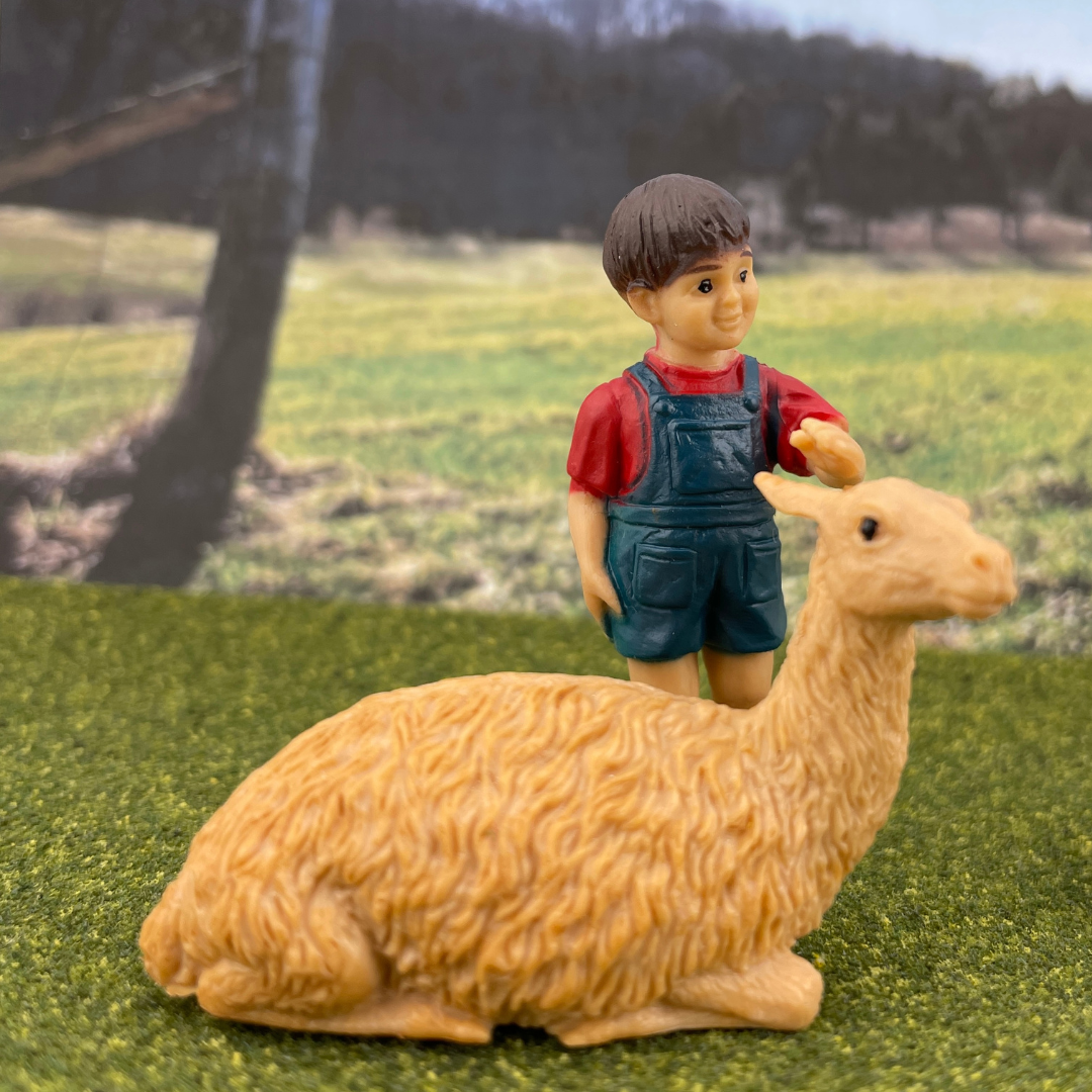 Petting Zoo TOOB® | TOOBS® - Mini Toys | Safari Ltd®