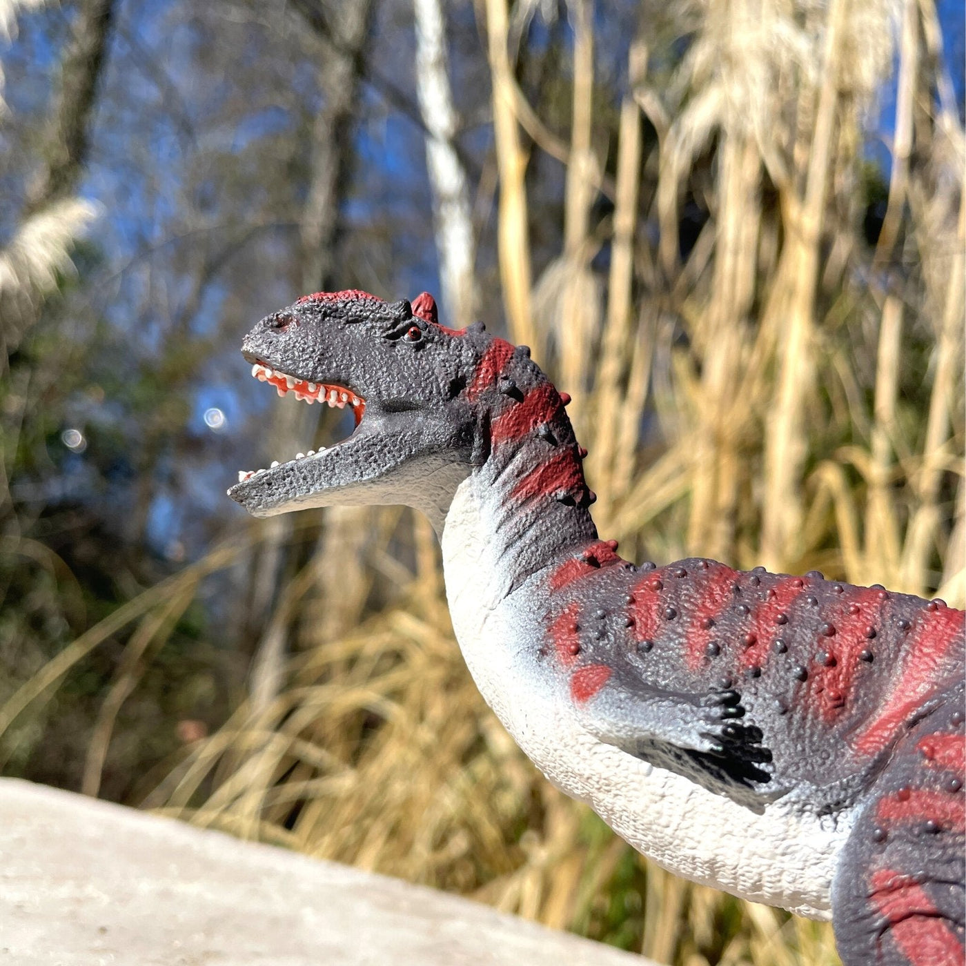 Majungasaurus Toy Figure |  | Safari Ltd®