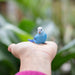 Blue Budgie Toy | Wildlife Animal Toys | Safari Ltd®
