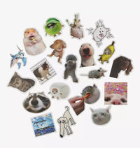Crazy Animals Mystery Pack