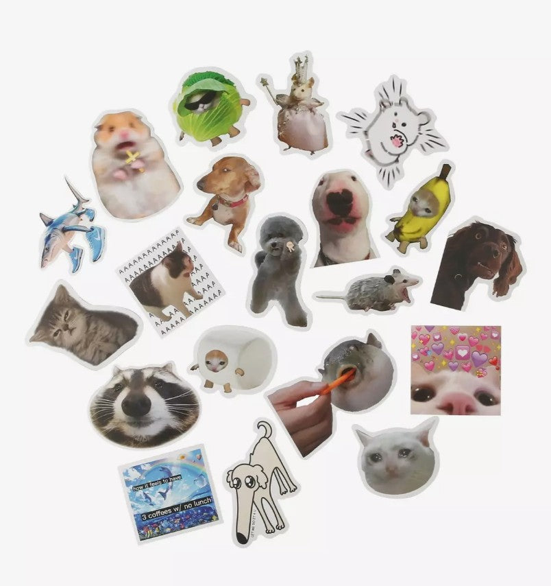 Crazy Animals Mystery Pack