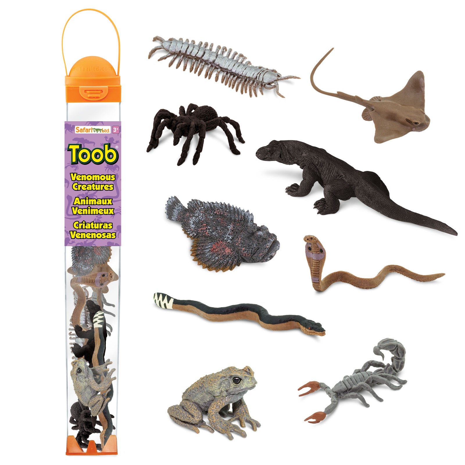 Safari Ltd. Toob – 12 Coole Muränen-Figuren, Handbemalt & Naturgetreu