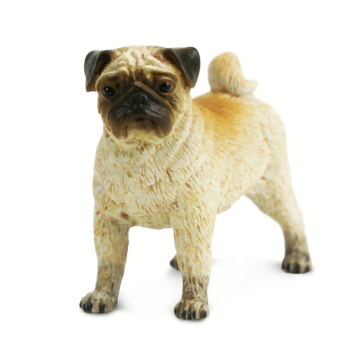 Pug Toy Dog Figure | Best In Show Dogs | Safari Ltd®