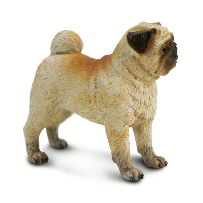 Pug Toy Dog Figure | Best In Show Dogs | Safari Ltd®