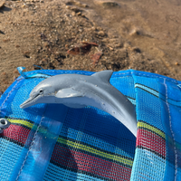 Dolphin Toy | Sea Life | Safari Ltd®
