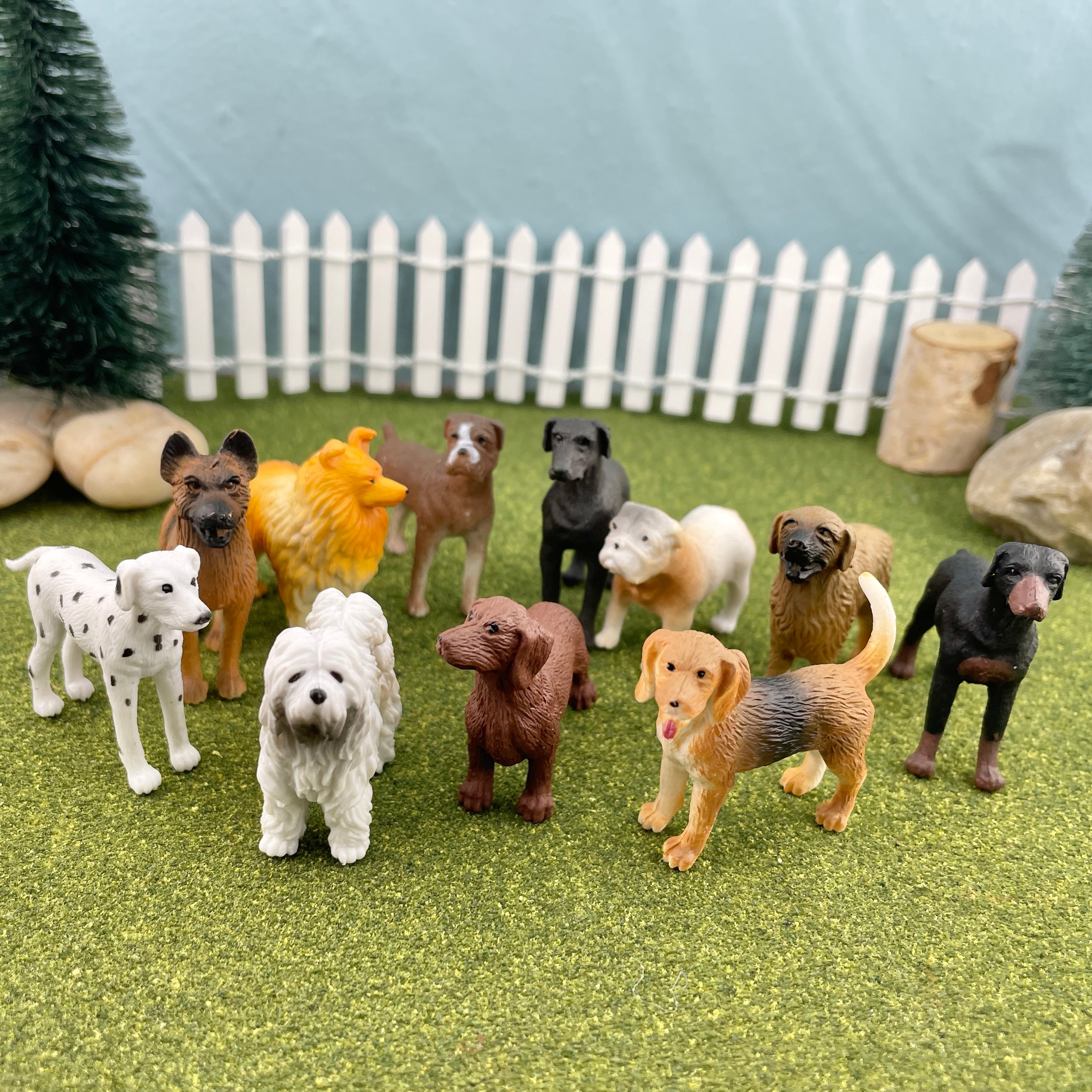 Mini Dog Figurines TOOB® | Safari Ltd®