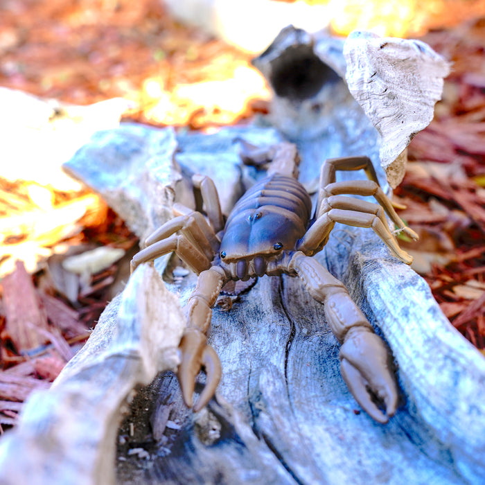 Scorpion Toy | Incredible Creatures | Safari Ltd®
