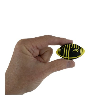 Worlds Smallest Nerf Weather Football