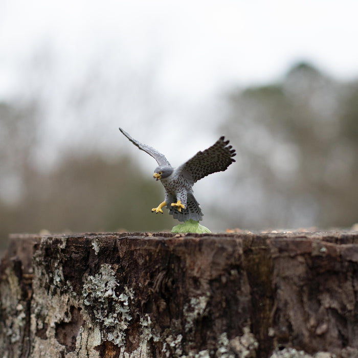 Peregrine Falcon Toy | Wildlife Animal Toys | Safari Ltd®