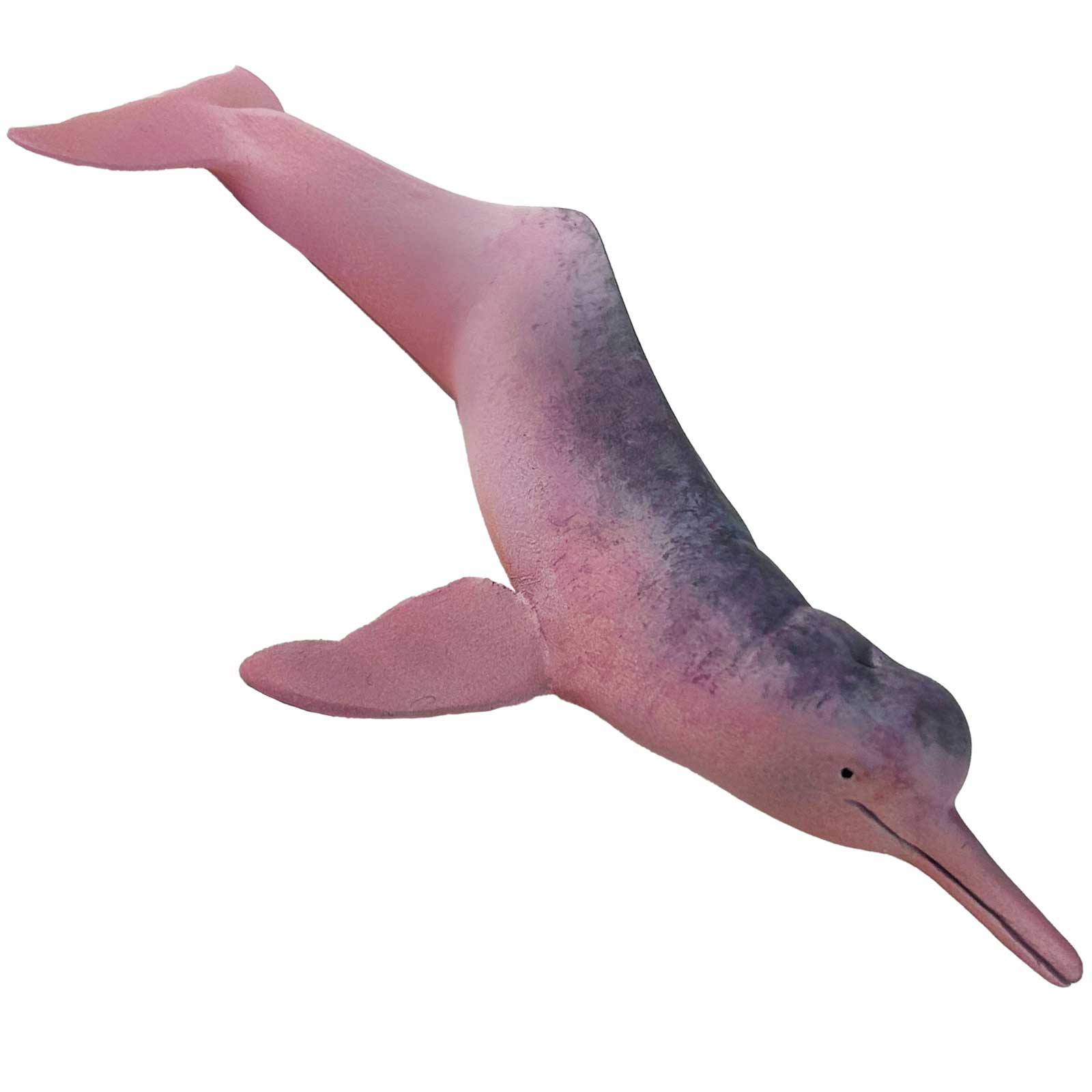 Amazon River Dolpin Toy Figurine | Safari Ltd®