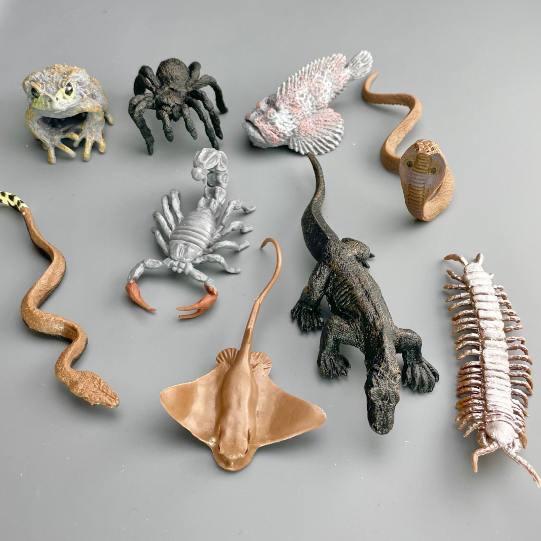 Venomous Creatures TOOB® | TOOBS® - Mini Toys | Safari Ltd®