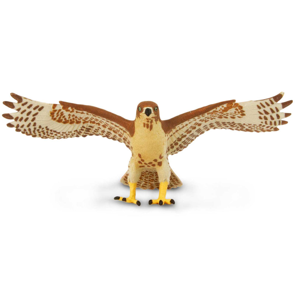 Red-Tailed Hawk Toy – Realistic Bird of Prey | Safari Ltd® | Safari Ltd®