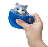 A hand holds a blue cup containing a Pop-a-Chino Kittens fidget toy from Schylling Toys—a cute, gray and white kitten with big blue eyes that appears to be peeking out from the cup. The background is plain white.