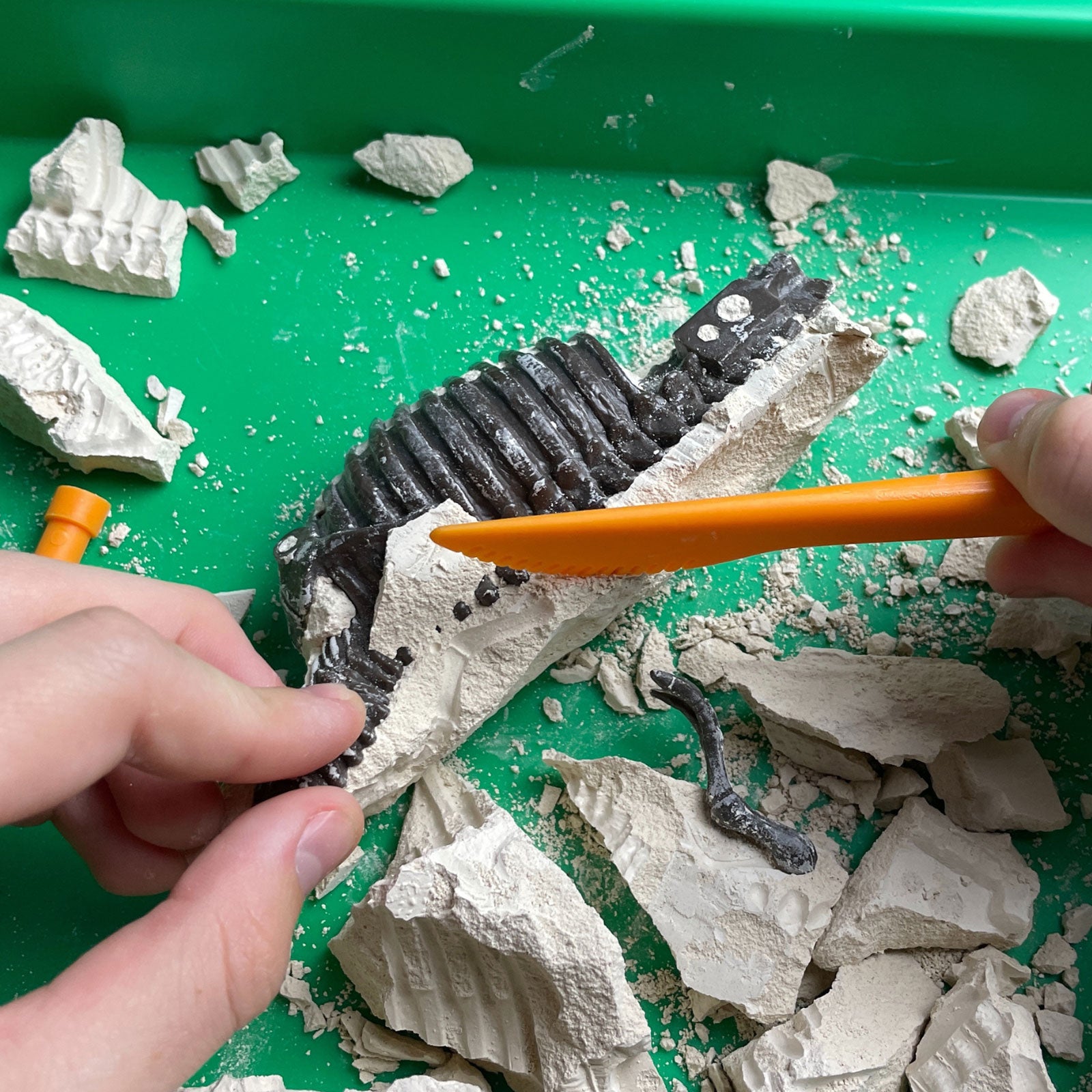 dino13ページです Dr. Steve Hunters GEOWorld Dino Dig Tyrannosaurus Rex Excavation