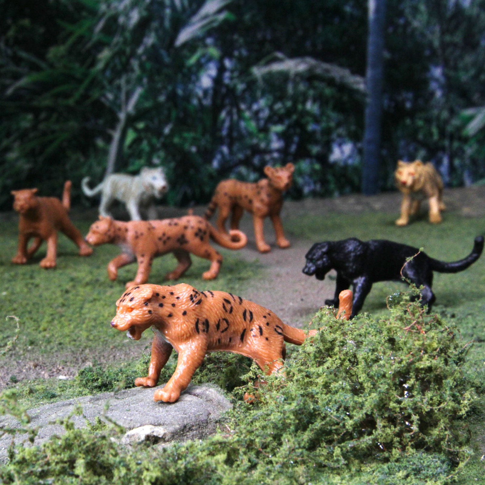 Big Cats TOOB® – 9 Realistic Big Cat Figurines | Lion, Tiger