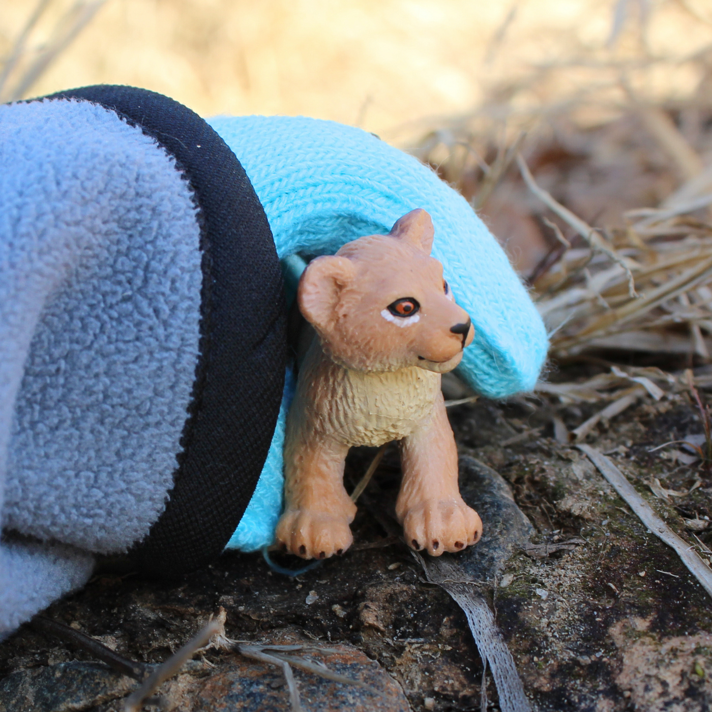 Lion Cub Toy | Wildlife Animal Toys | Safari Ltd®