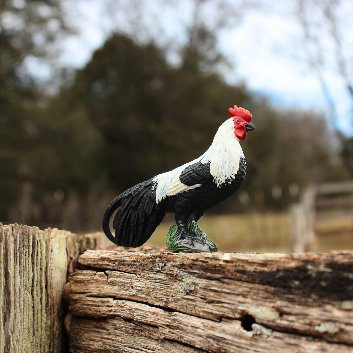 Phoenix Rooster | Farm | Safari Ltd®