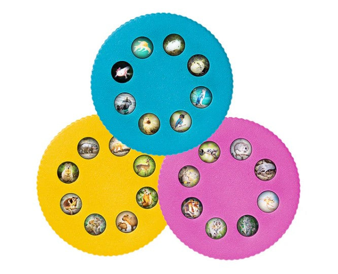 Wonder Lights: Cute Animals Educational Flashlight |  | Safari Ltd®