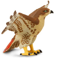 Red-Tailed Hawk Toy | Wildlife Animal Toys | Safari Ltd®