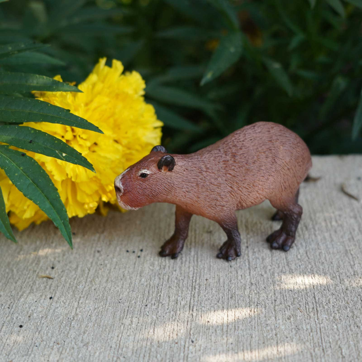 Capybara Toy Figure