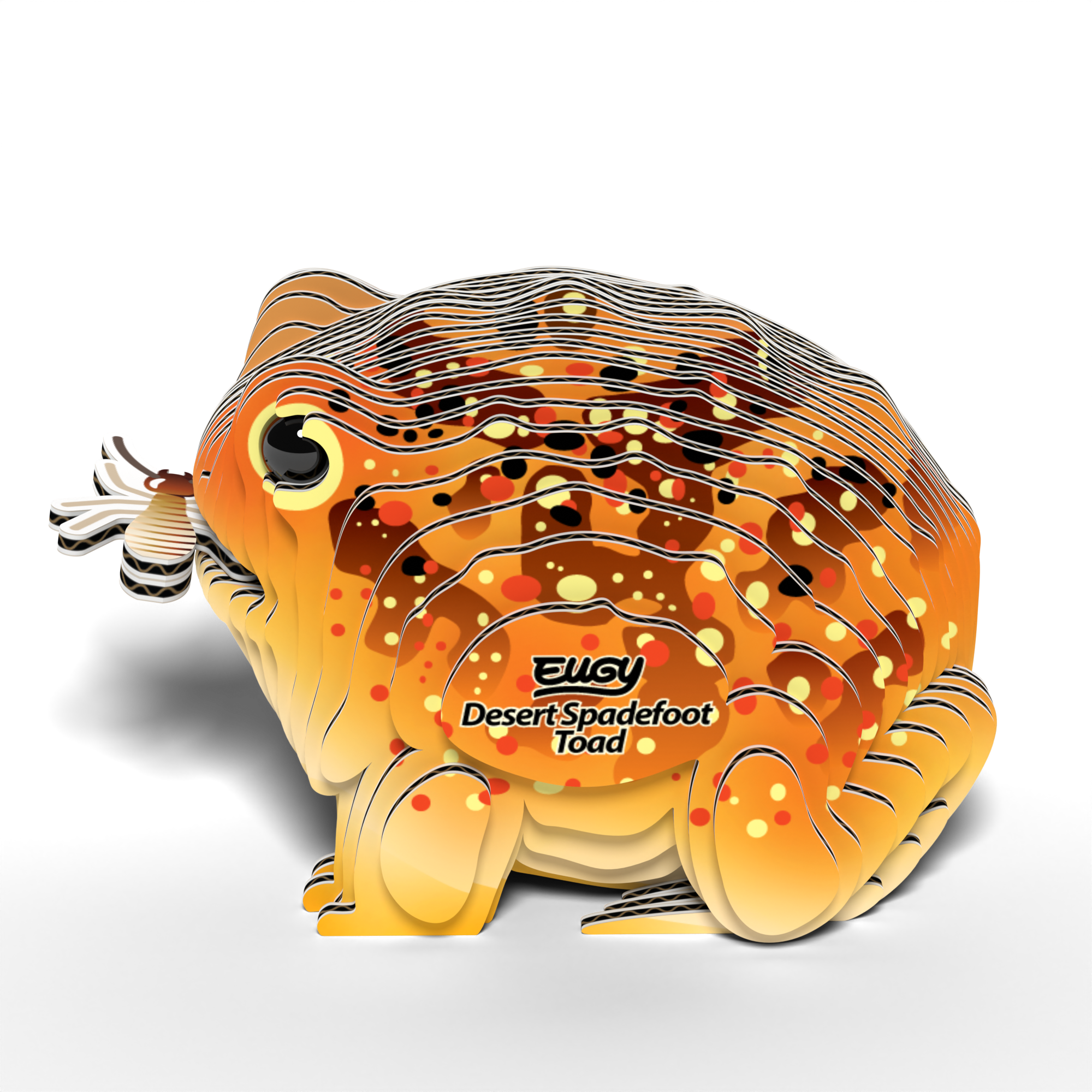 EUGY Desert Spadefoot Toad 3D Puzzle | | Safari Ltd®