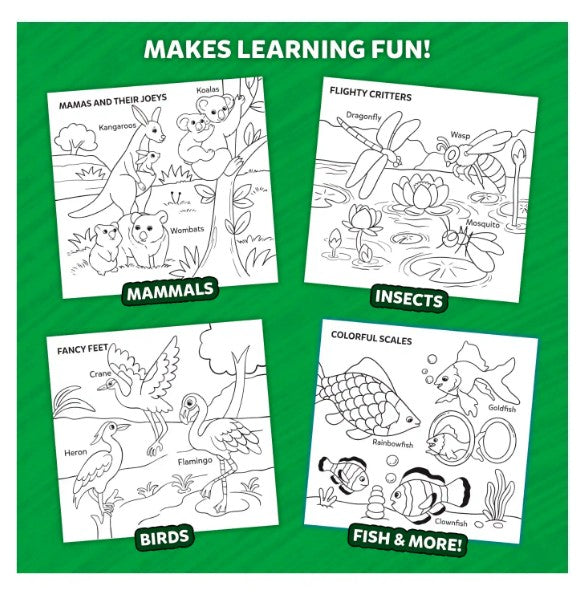 Color & Learn Animals |  | Safari Ltd®