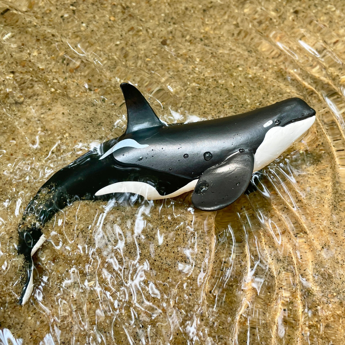Type D Orca Toy Figure Safari Ltd type-d-orca-toy-figure-safari-ltd