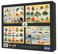 Wildflowers of Florida Puzzle |  | Safari Ltd®