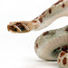 Western Diamondback Rattlesnake Toy |  | Safari Ltd®