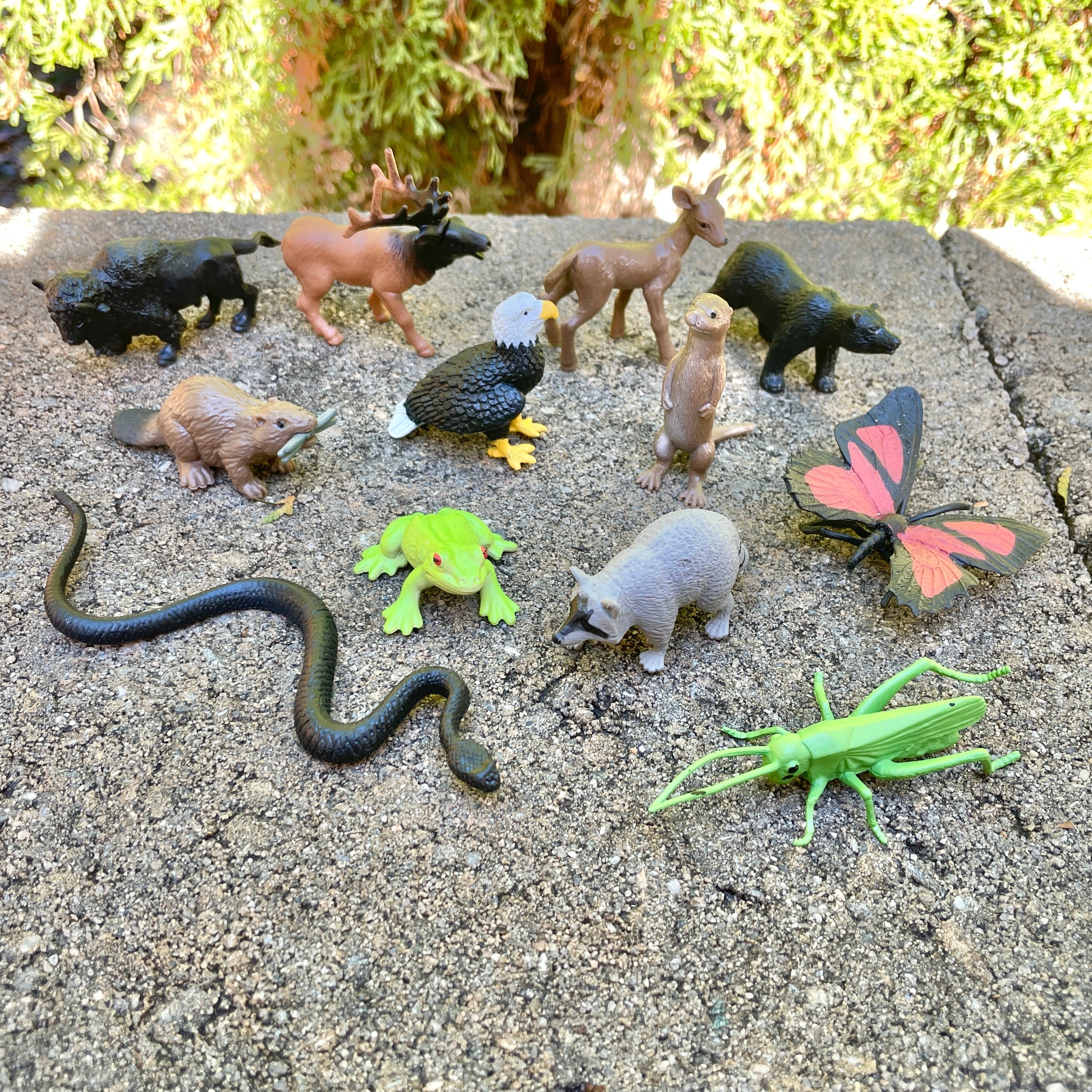 In the Woods TOOB® | TOOBS® - Mini Toys | Safari Ltd®