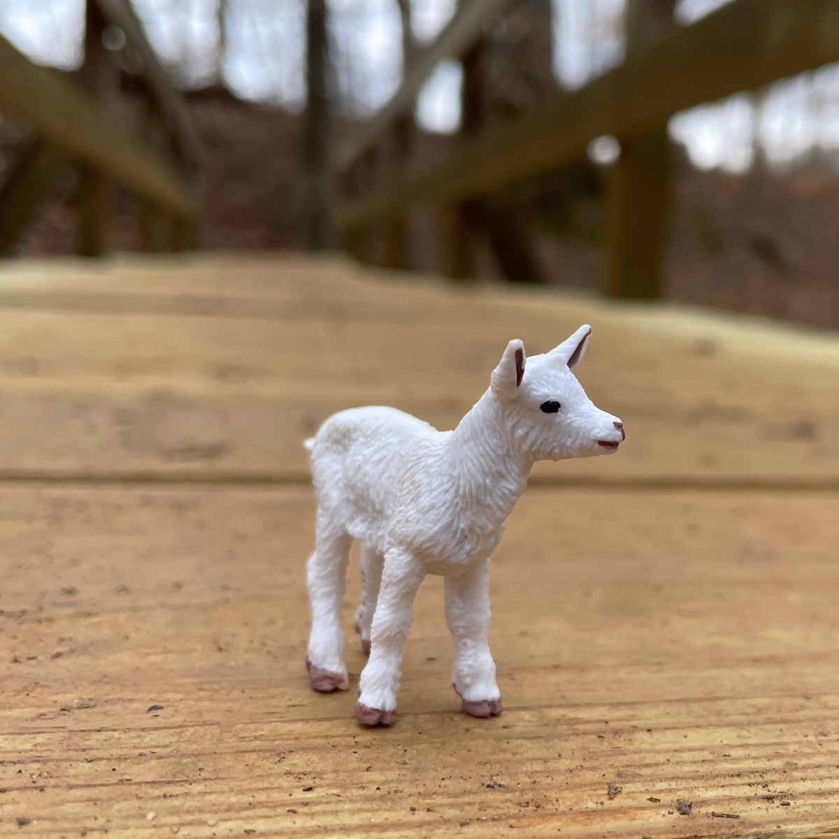 Baby "Kid" Goat Toy