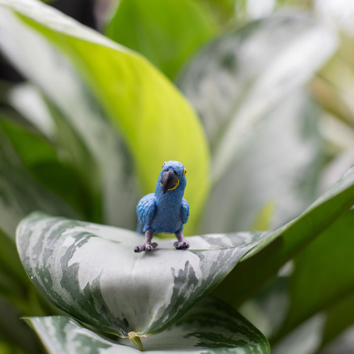 Hyacinth Macaw Toy | Wildlife Animal Toys | Safari Ltd®