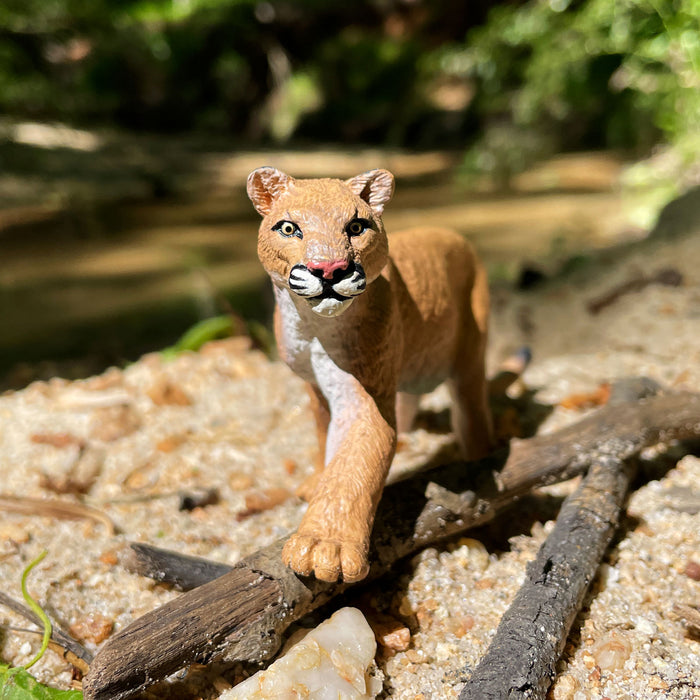 Mountain Lion Toy Figure | WS Naw | Safari Ltd®