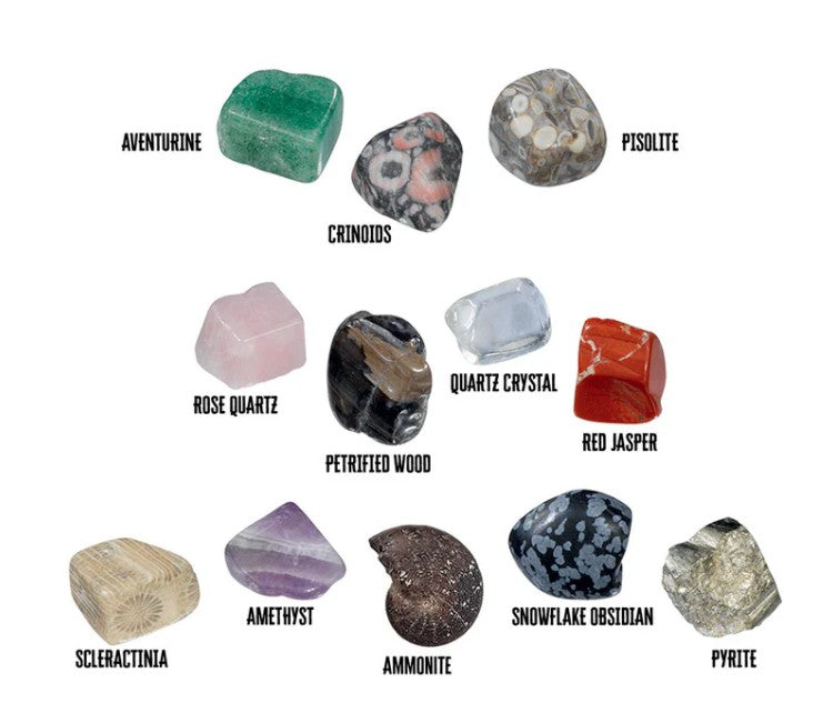 The Thames & Kosmos I Dig It! Rocks & Fossils Mini Excavation kit includes 12 labeled stones and fossils, such as aventurine, ammonite, and snowflake obsidian—ideal for anyone curious about rocks or starting in paleontology.