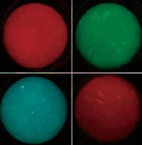 Glow in the Dark Dumpling |  | Safari Ltd®