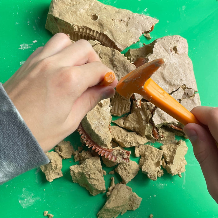 Uncle Milton Dino Dig Velociraptor Ausgrabungsset – Archäologie-Spielzeug Für Junge Forscher Ab 3 Jahren