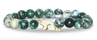 Dash-Bamboo |  | Safari Ltd®