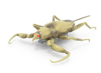 Hex Bots Nano Real Bugs 5-Pack |  | Safari Ltd®