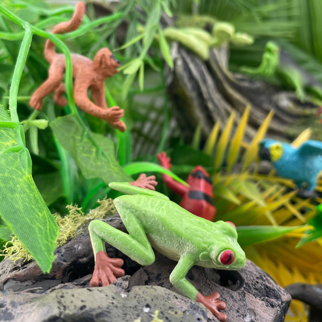 Rainforest TOOB® | Safari Ltd®