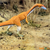 Coelophysis Toy | Dinosaur Toys | Safari Ltd®