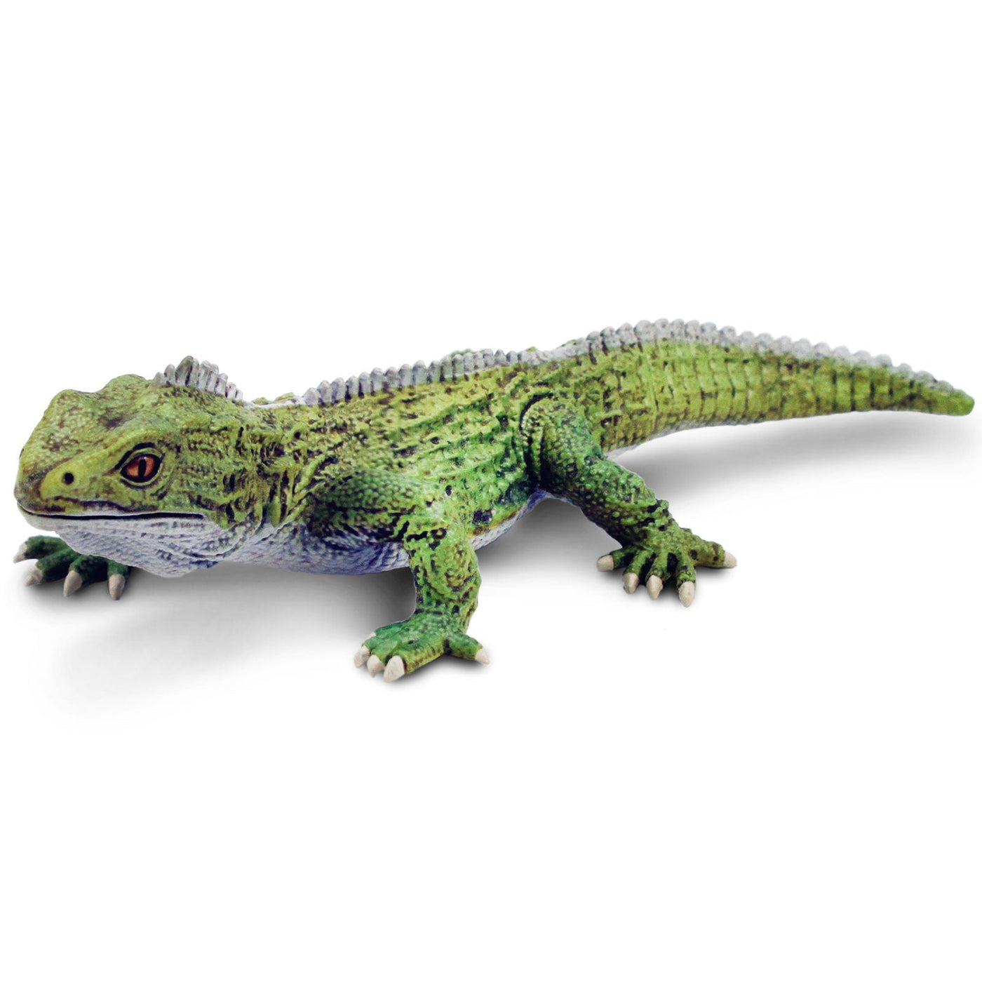 Tuatara Toy Figure | Incredible Creatures | Safari Ltd®