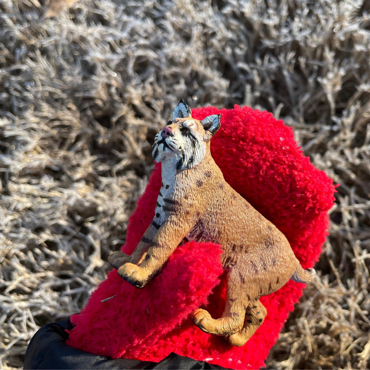 Bobcat Toy | Wildlife Animal Toys | Safari Ltd®