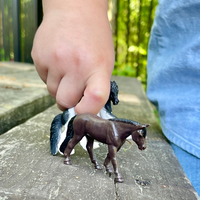 Horses & Riders TOOB® | TOOBS® - Mini Toys | Safari Ltd®