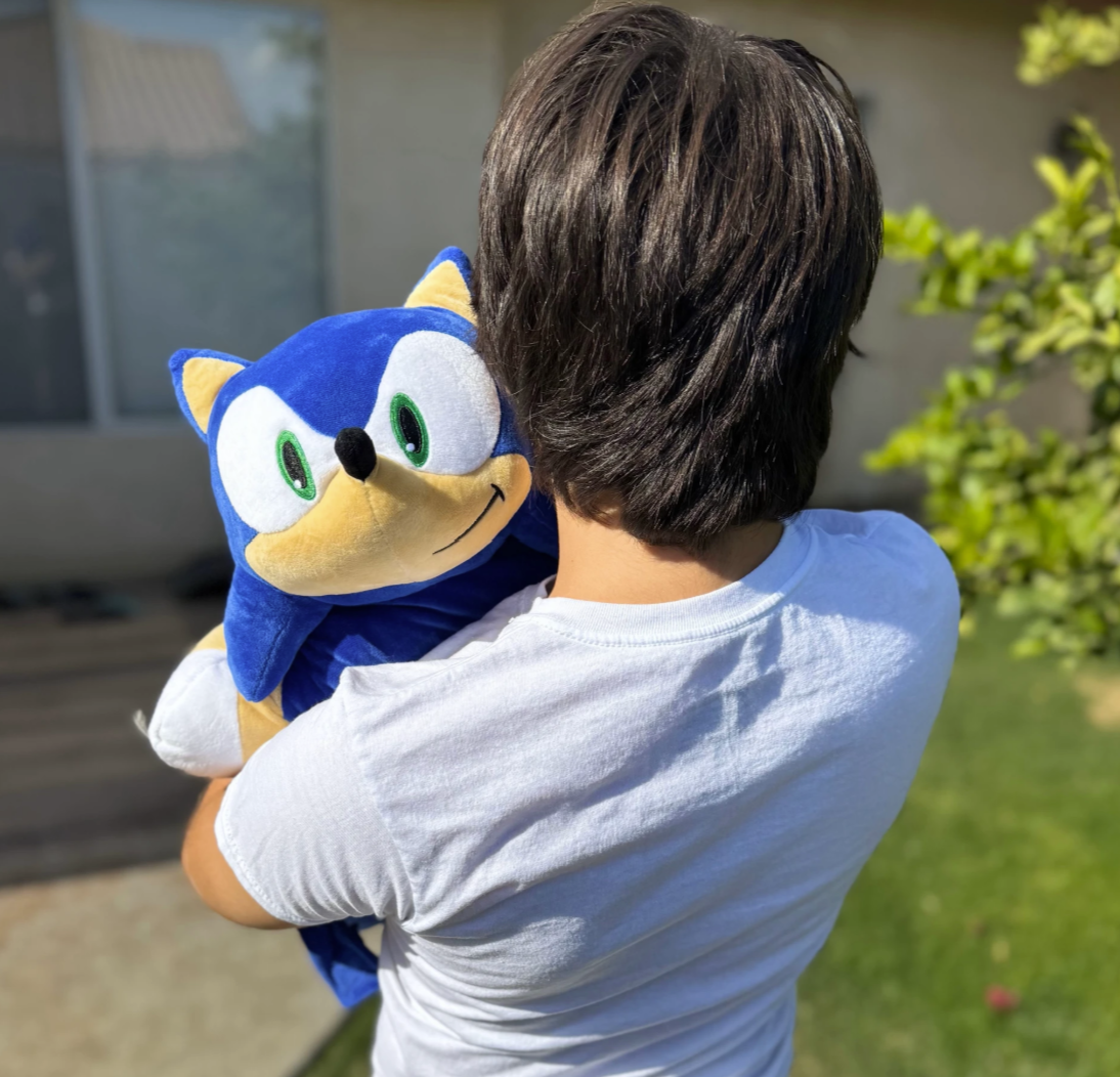 Sonic Pillow Pets