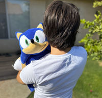 Sonic Pillow Pets