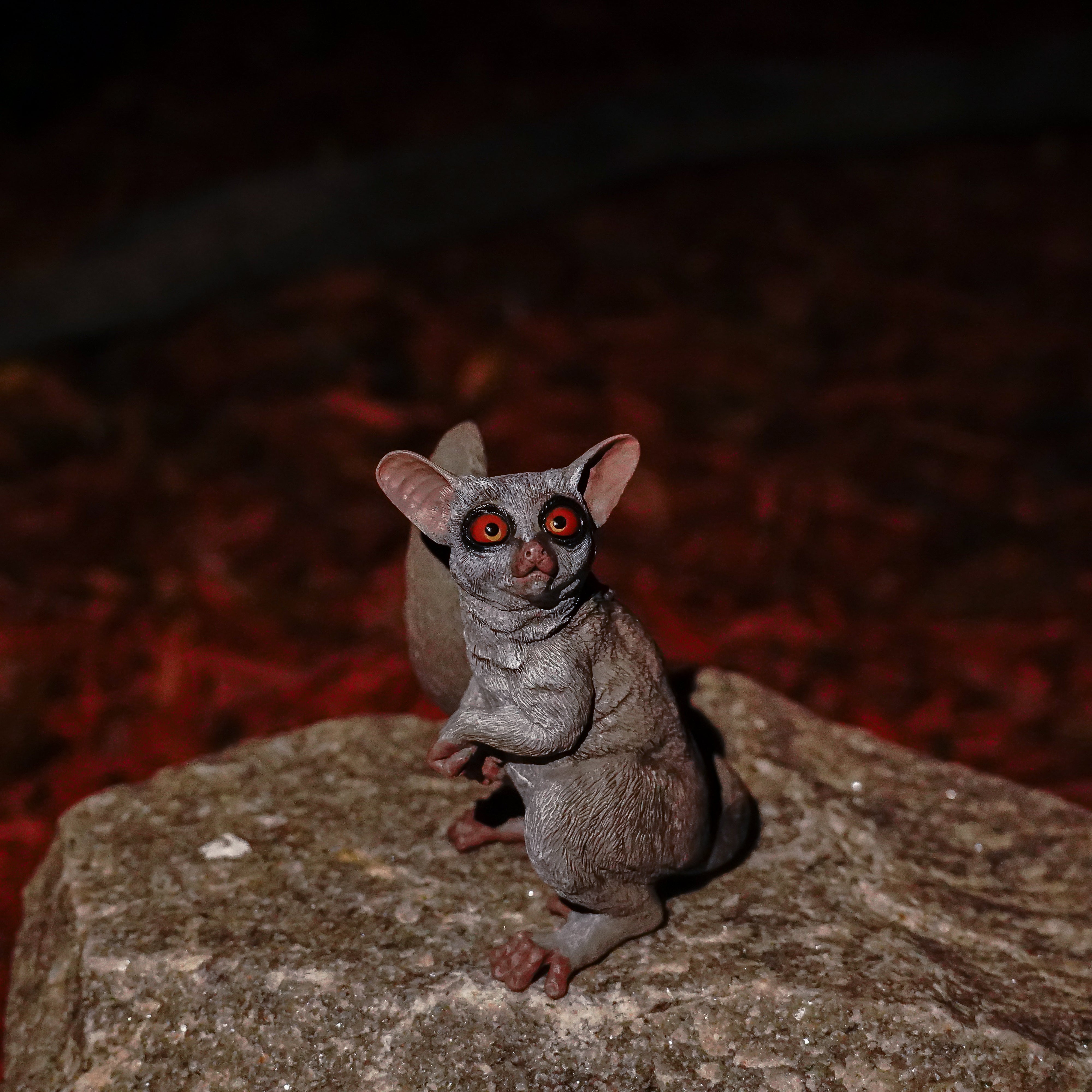 Bush baby juguetes deals
