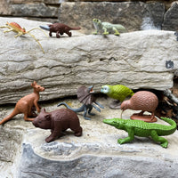 Australian Continent TOOB | Toobs | Safari Ltd®